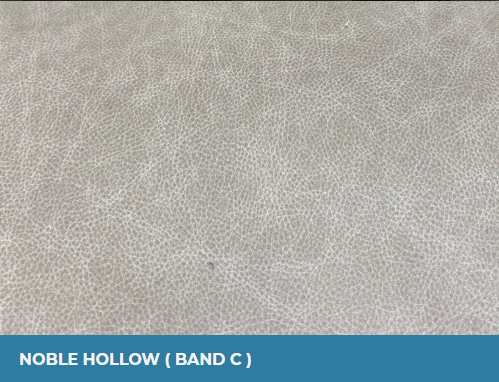 Noble Hollow